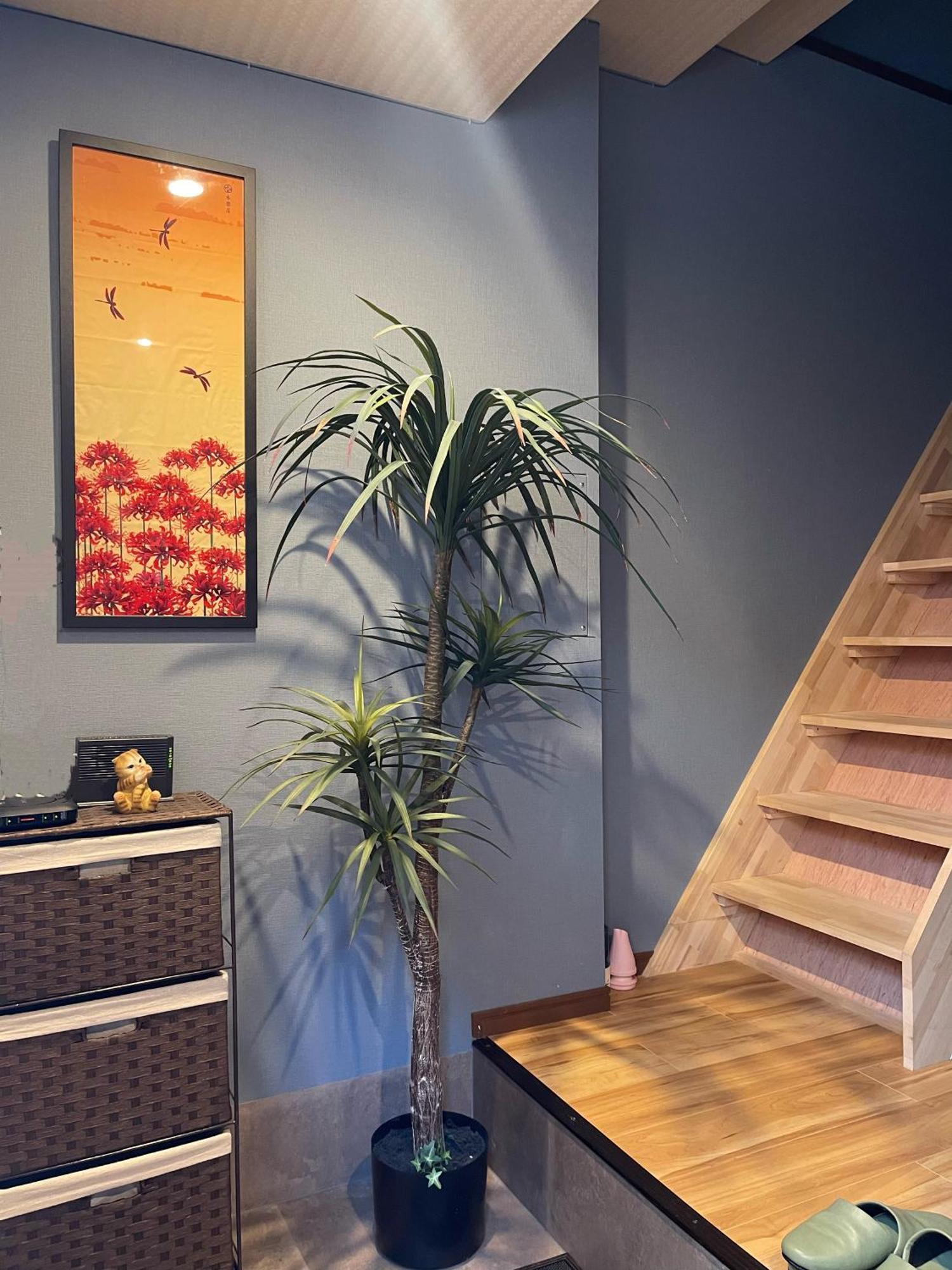 Namba Shinsaibashi 10 Mins Reiko Guest House Ōsaka Extérieur photo